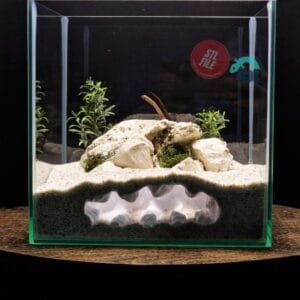 Fish, Shrimp, Axolotl, Reptile Hide Cave - Aquarium and Terrarium Decor, Aquascape Piece, Fish Tank Ornament Art | The Sea Beast 3D Printable STL File