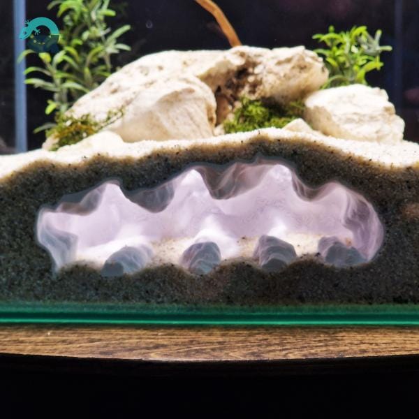 Fish, Shrimp, Axolotl, Reptile Hide Cave - Aquarium and Terrarium Decor, Aquascape Piece, Fish Tank Ornament Art | The Sea Beast 3D Printable STL File - Image 2