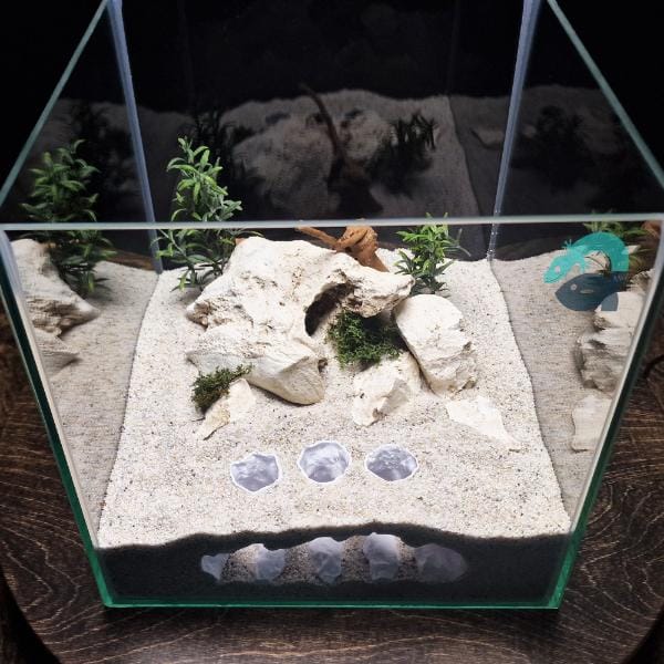 Fish, Shrimp, Axolotl, Reptile Hide Cave - Aquarium and Terrarium Decor, Aquascape Piece, Fish Tank Ornament Art | The Sea Beast 3D Printable STL File - Image 4