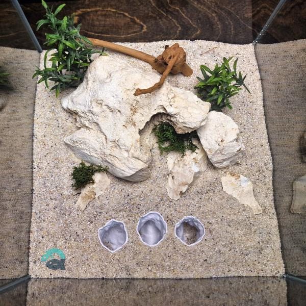 Fish, Shrimp, Axolotl, Reptile Hide Cave - Aquarium and Terrarium Decor, Aquascape Piece, Fish Tank Ornament Art | The Sea Beast 3D Printable STL File - Image 5