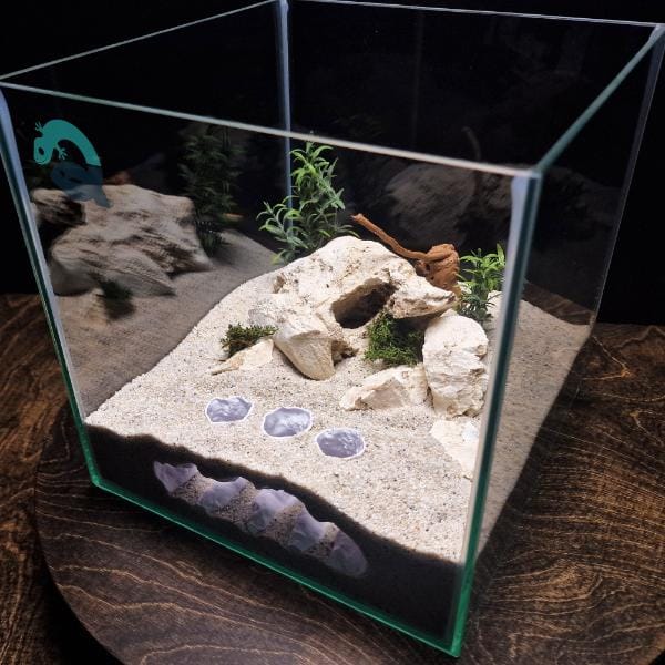 Fish, Shrimp, Axolotl, Reptile Hide Cave - Aquarium and Terrarium Decor, Aquascape Piece, Fish Tank Ornament Art | The Sea Beast 3D Printable STL File - Image 6