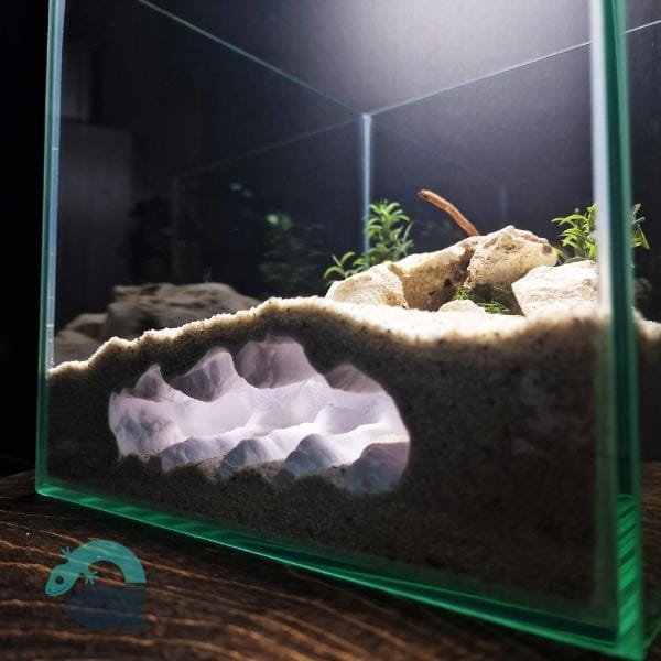 Fish, Shrimp, Axolotl, Reptile Hide Cave - Aquarium and Terrarium Decor, Aquascape Piece, Fish Tank Ornament Art | The Sea Beast 3D Printable STL File - Image 7