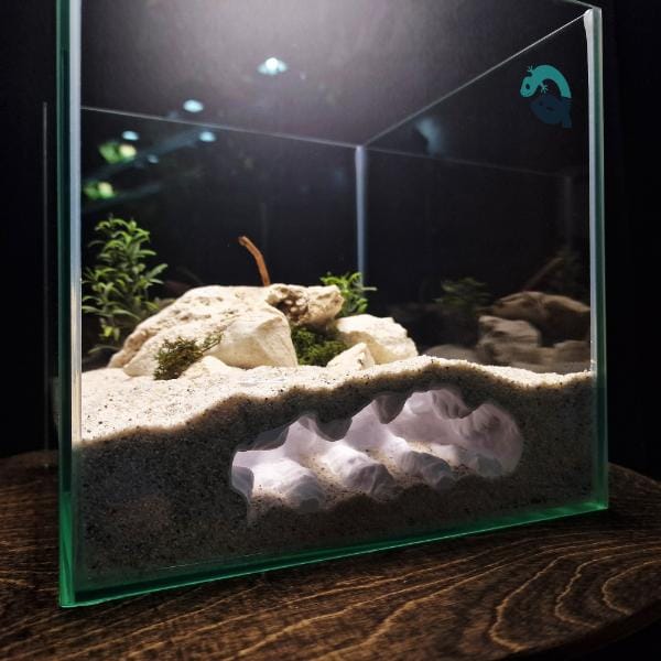 Fish, Shrimp, Axolotl, Reptile Hide Cave - Aquarium and Terrarium Decor, Aquascape Piece, Fish Tank Ornament Art | The Sea Beast 3D Printable STL File - Image 8