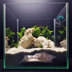 Aquarium & Reptile Natural Cave, Fish Shrimp Hollow Hideout, Terrarium Decor Shelter, Aquascape Organic Rocky Grotto  | Aquaform Den 3D Printable STL File