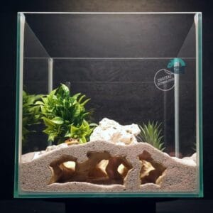 Atlantis Ruins critter hide, fish and shrimp shelter, reptile habitat cave: Aquarium, Terrarium & Vivarium Decor | The Abyssal Grotto 3D Printable STL File