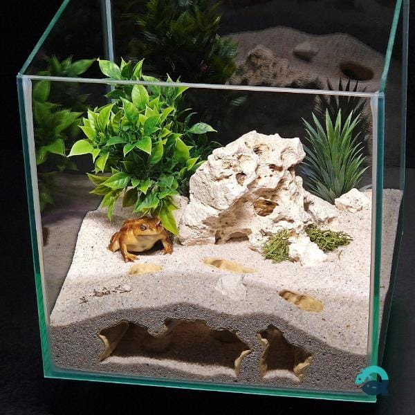Atlantis Ruins critter hide, fish and shrimp shelter, reptile habitat cave: Aquarium, Terrarium & Vivarium Decor | The Abyssal Grotto 3D Printable STL File - Image 2