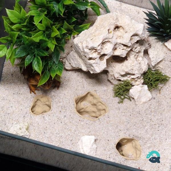 Atlantis Ruins critter hide, fish and shrimp shelter, reptile habitat cave: Aquarium, Terrarium & Vivarium Decor | The Abyssal Grotto 3D Printable STL File - Image 4