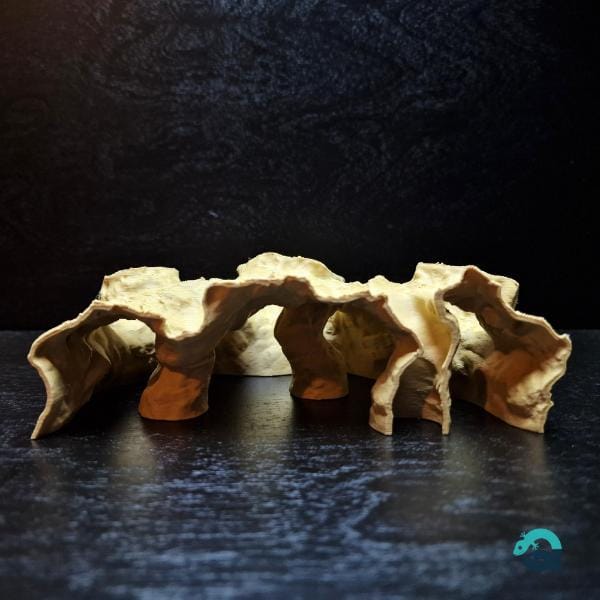 Atlantis Ruins critter hide, fish and shrimp shelter, reptile habitat cave: Aquarium, Terrarium & Vivarium Decor | The Abyssal Grotto 3D Printable STL File - Image 8