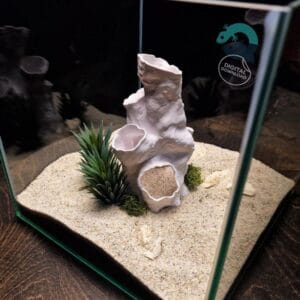 Aquarium & Reptile Coral Cave, Organic Hideout, Aquascape Shelter, Shrimp Refuge, Gecko Grotto, Vivarium Decor | Coral Tunnel 3D Printable STL File